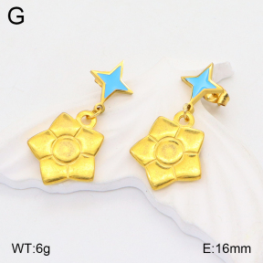 2E3002755ablb-704  Stainless Steel Earrings