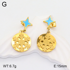 2E3002757aakl-704  Stainless Steel Earrings