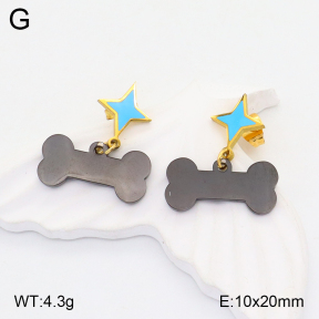 2E3002766baka-704  Stainless Steel Earrings