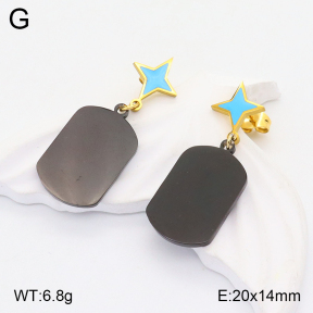 2E3002768baka-704  Stainless Steel Earrings