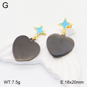 2E3002769baka-704  Stainless Steel Earrings