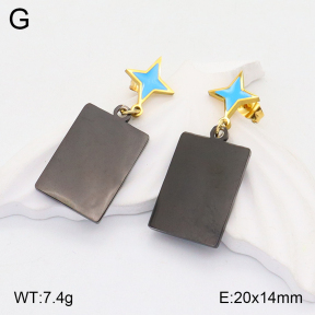 2E3002770baka-704  Stainless Steel Earrings