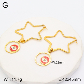 2E3002772vbmb-704  Stainless Steel Earrings