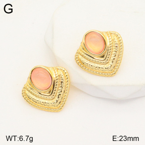 2E4003794vbmb-765  Stainless Steel Earrings