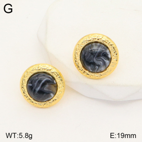 2E4003801vbmb-765  Stainless Steel Earrings