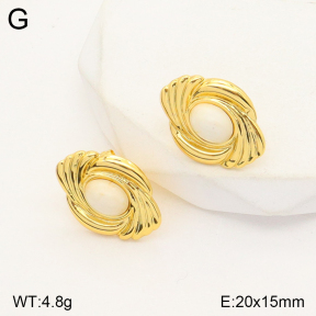 2E4003804vbmb-765  Stainless Steel Earrings