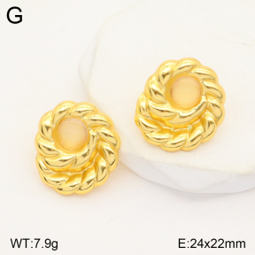 2E4003815vbmb-765  Stainless Steel Earrings