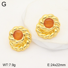 2E4003816vbmb-765  Stainless Steel Earrings