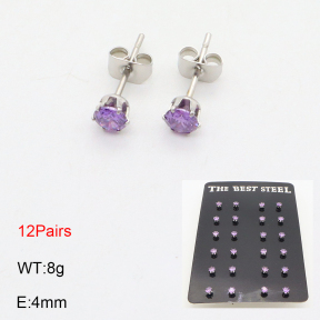 2E4003844vhov-256  Brithday Stone-February  Stainless Steel Earrings