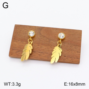 2E4003857aajo-704  Stainless Steel Earrings