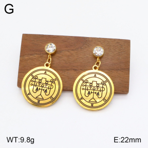 2E4003862aakn-704  Stainless Steel Earrings