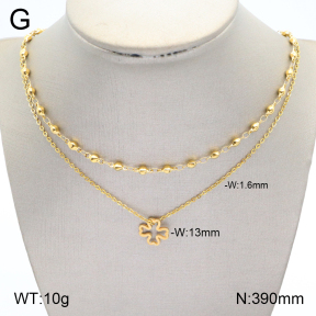 2N2004543bbml-704  Stainless Steel Necklace