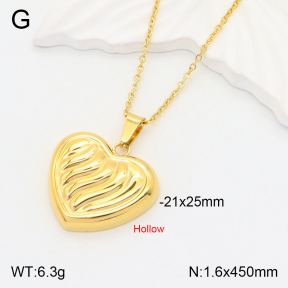 2N2004568abol-742  Stainless Steel Necklace