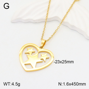 2N2004585bvlm-742  Stainless Steel Necklace