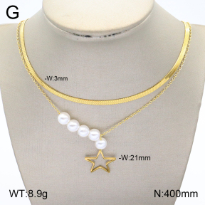 2N3002009vbnl-704  Stainless Steel Necklace