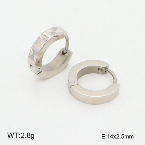 GEE002189vbnb-066  316 SS  Stainless Steel Earrings