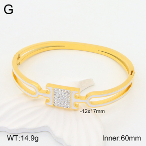 2BA401756vbpb-434  Stainless Steel Bangle