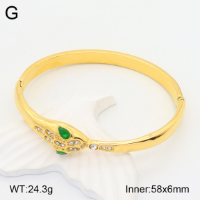 2BA401761ahjb-434  Stainless Steel Bangle