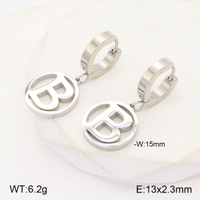 2E2004903baka-434  Stainless Steel Earrings