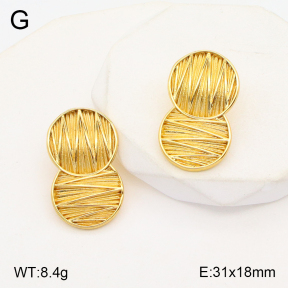 2E2004906vbnb-434  Stainless Steel Earrings