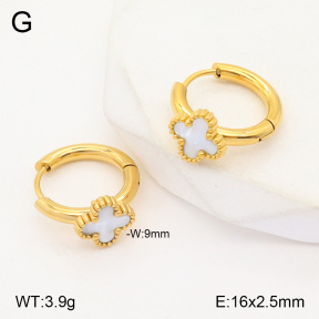 2E3002791ablb-434  Stainless Steel Earrings