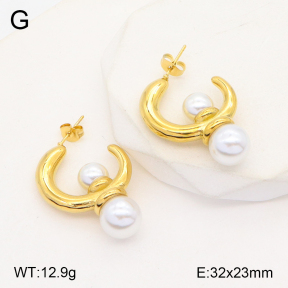 2E3002795bbml-434  Stainless Steel Earrings