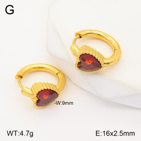 2E4003875vbmb-434  Stainless Steel Earrings