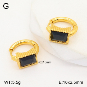 2E4003877vbmb-434  Stainless Steel Earrings