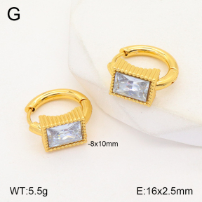 2E4003879vbmb-434  Stainless Steel Earrings