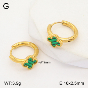 2E4003880ablb-434  Stainless Steel Earrings