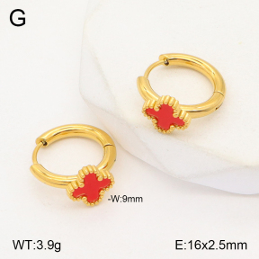 2E4003883ablb-434  Stainless Steel Earrings