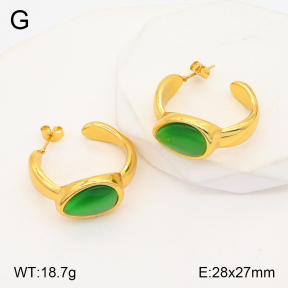 2E4003884bbov-434  Stainless Steel Earrings