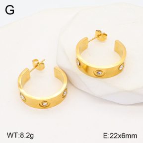 2E4003891bbml-434  Stainless Steel Earrings