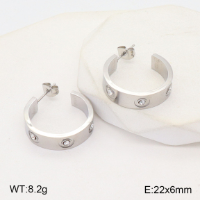 2E4003892vbmb-434  Stainless Steel Earrings