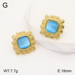 2E4003897vbll-434  Stainless Steel Earrings