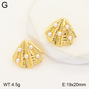 2E3002805ablb-212  Stainless Steel Earrings