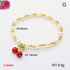 F6B300932vbll-L002  Fashion Copper Bracelet