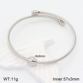 2BA201496aakl-387  Stainless Steel Bangle