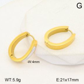 2E3002810bhva-669  Stainless Steel Earrings