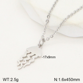 2N2004730baka-611  Stainless Steel Necklace