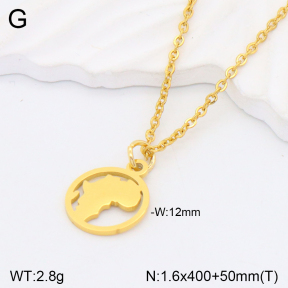 2N2004833ablb-611  Stainless Steel Necklace