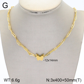 2N2004902vbnb-749  Stainless Steel Necklace