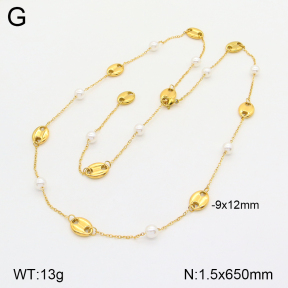 2N3002027bhjl-669  Stainless Steel Necklace