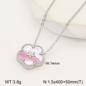 2N3002042bhva-669  Stainless Steel Necklace