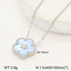 2N3002043bhva-669  Stainless Steel Necklace