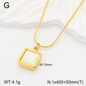 2N3002060vbpb-746  Stainless Steel Necklace