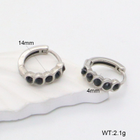 GEE002191abol-241  316 SS  Stainless Steel Earrings