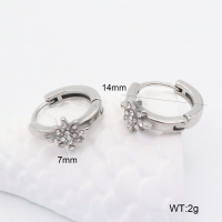 GEE002192abol-241  316 SS  Stainless Steel Earrings