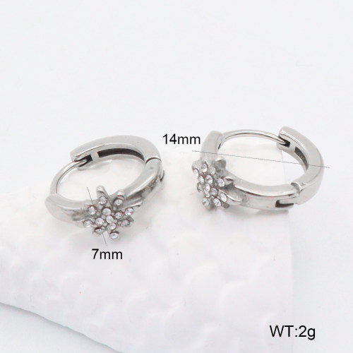 GEE002192abol-241  316 SS  Stainless Steel Earrings