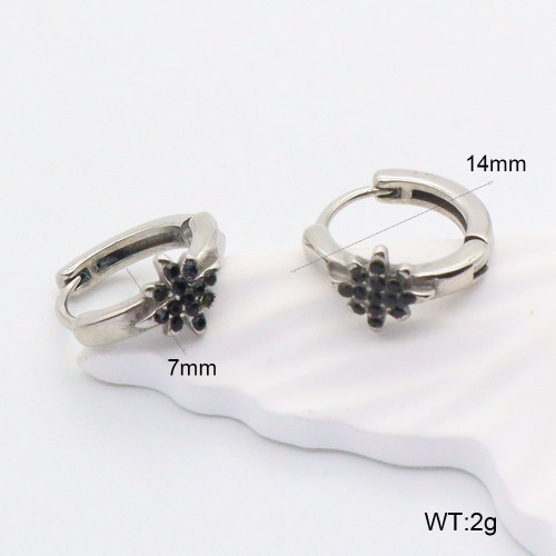 GEE002193abol-241  316 SS  Stainless Steel Earrings